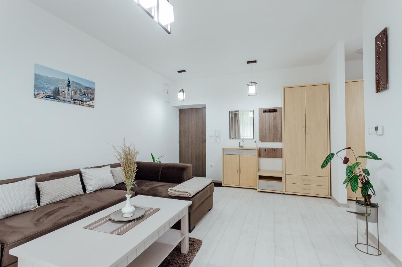 Apartman Vo Vile Kammergraf Banská Štiavnica Buitenkant foto